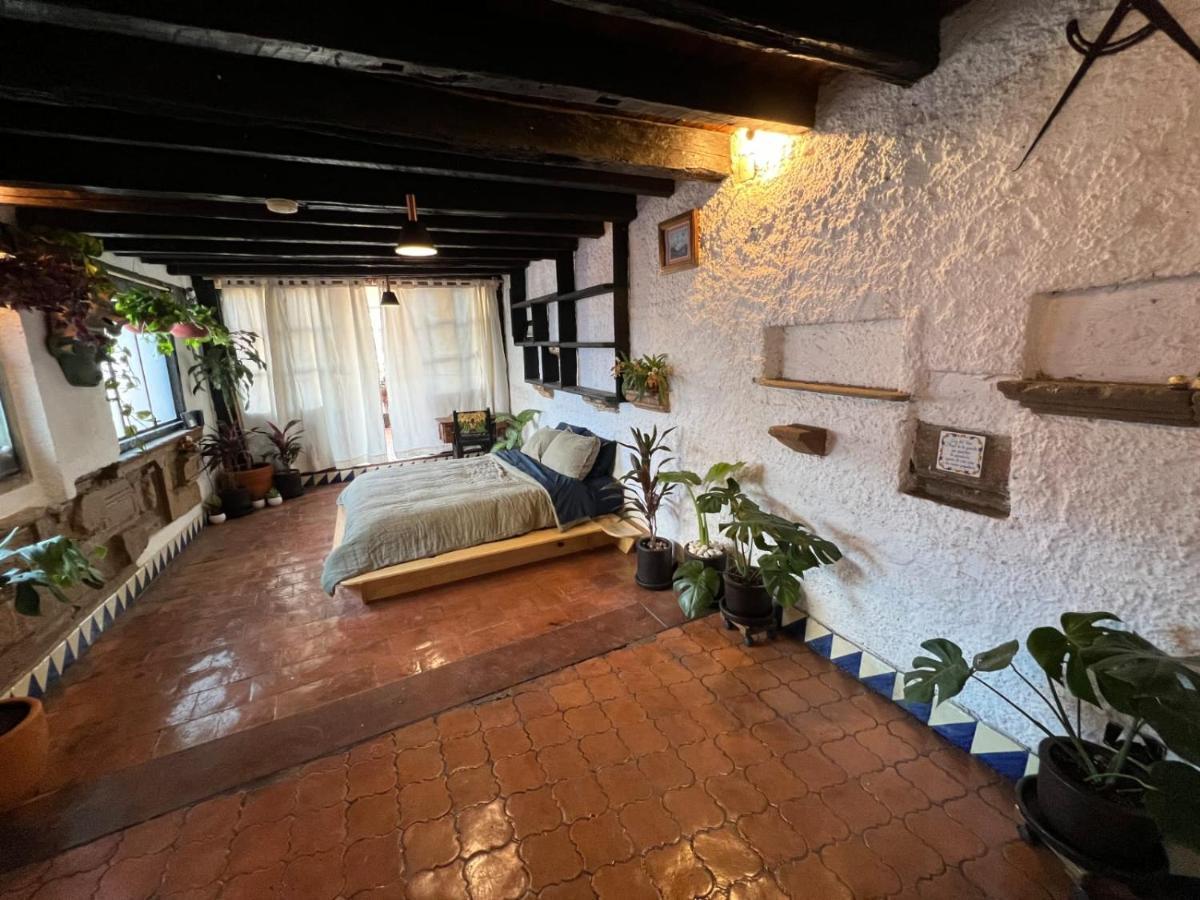 Casa Cobalto *